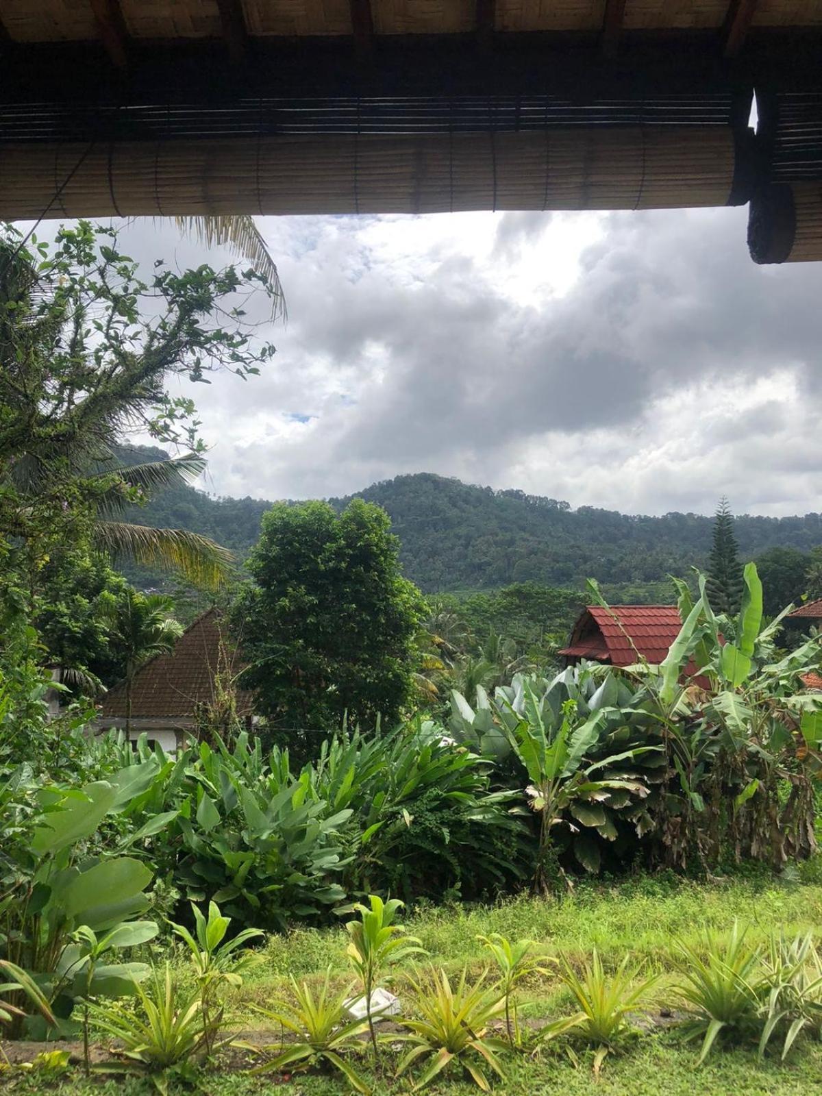 D'Janu Homestay Sidemen  Extérieur photo