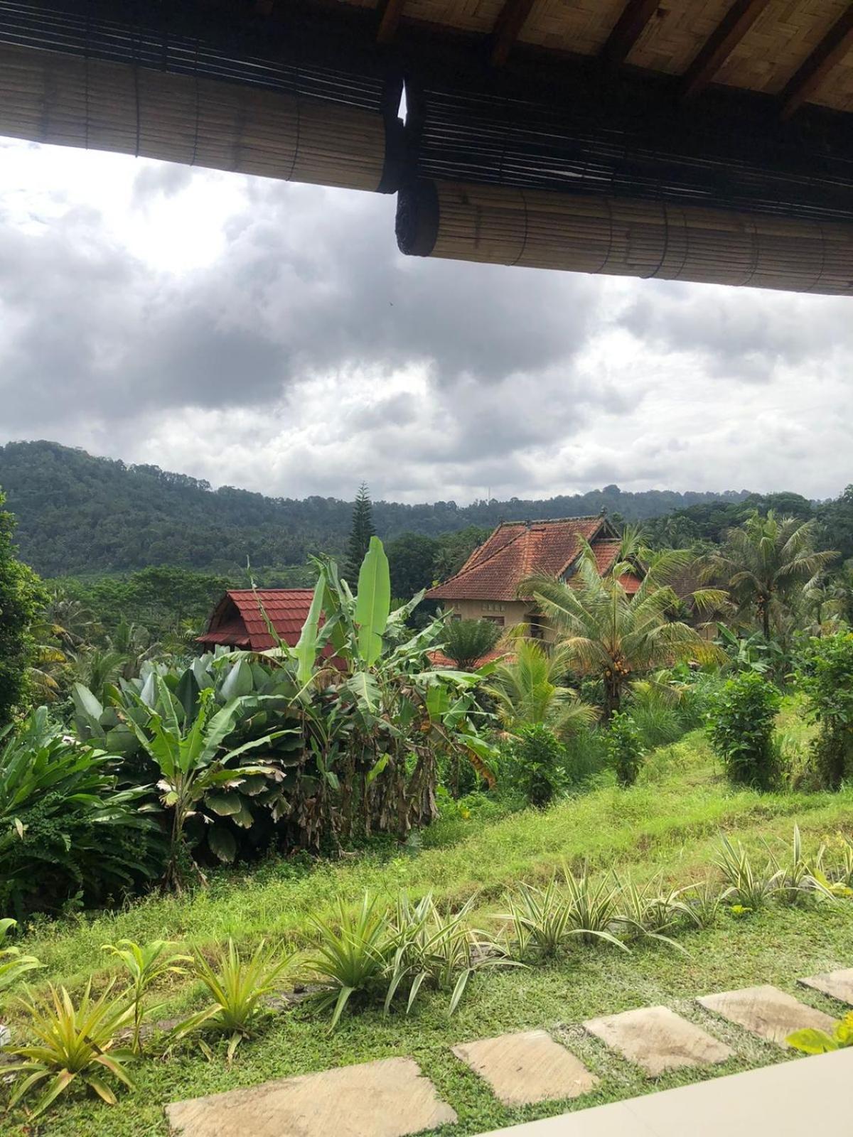 D'Janu Homestay Sidemen  Extérieur photo