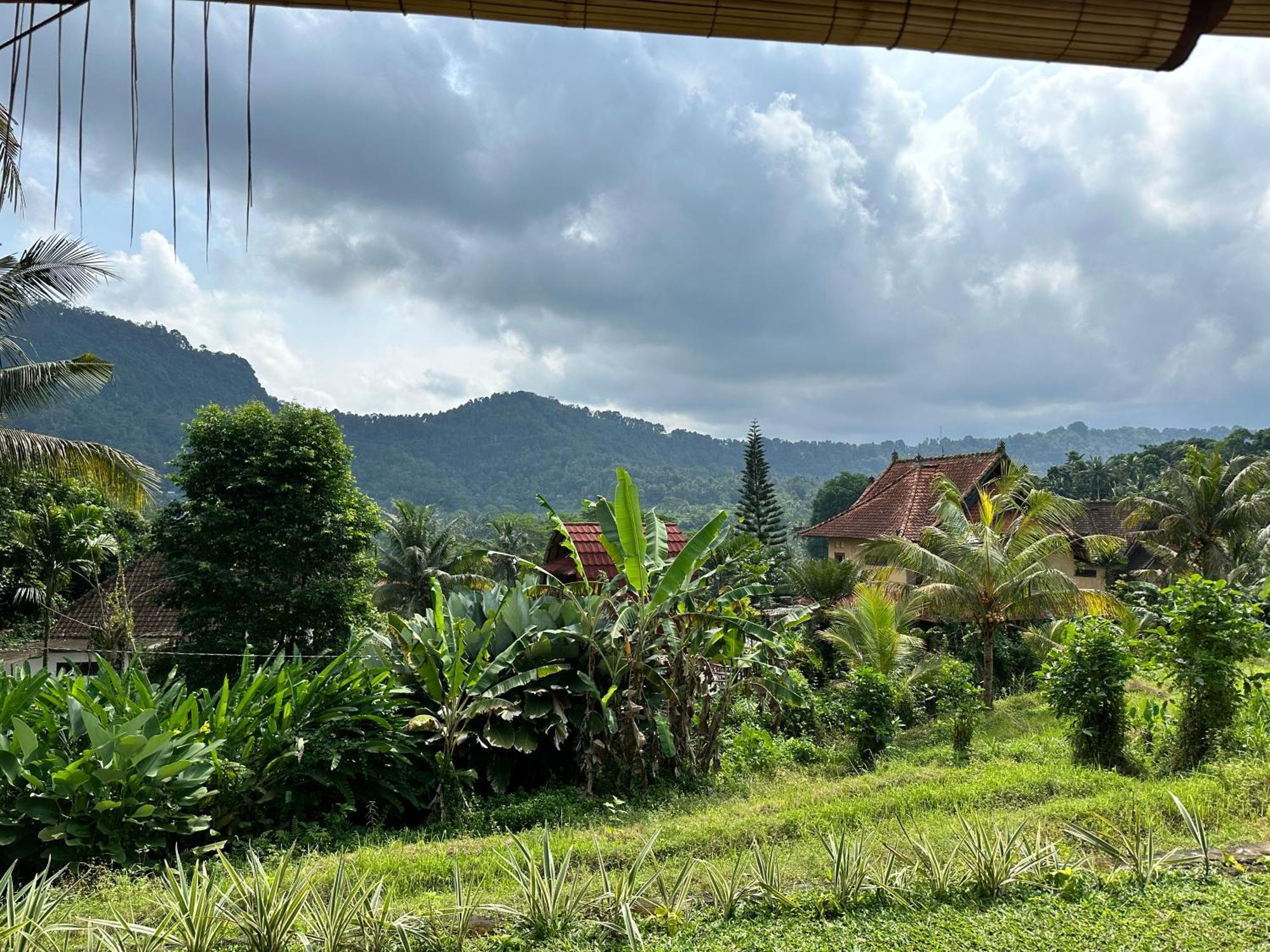 D'Janu Homestay Sidemen  Extérieur photo