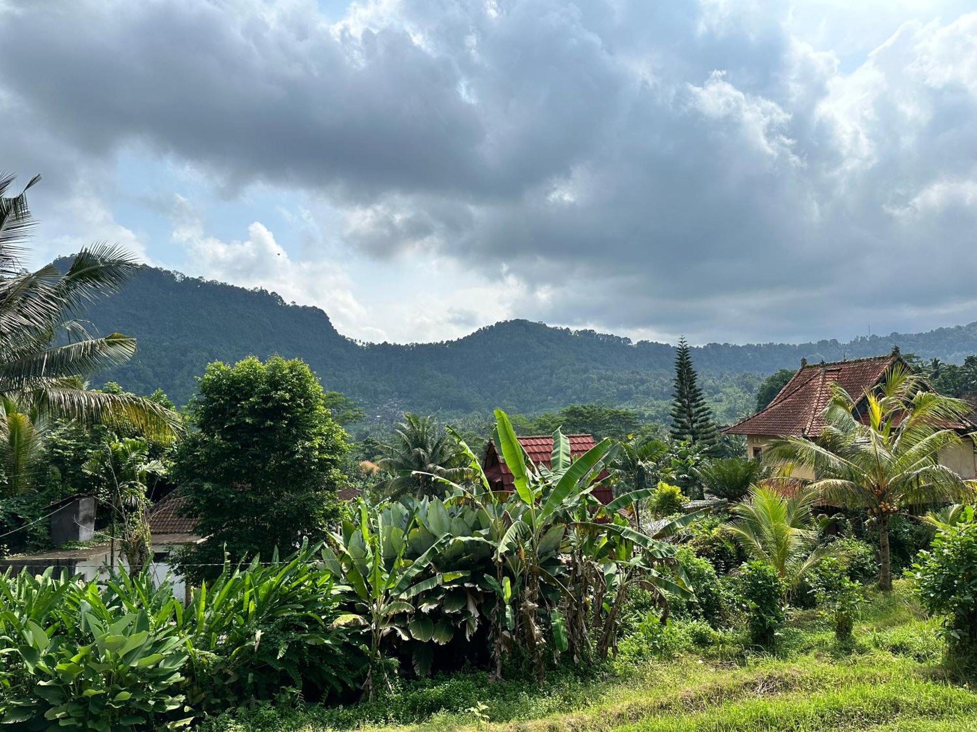 D'Janu Homestay Sidemen  Extérieur photo